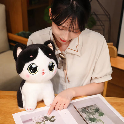 Cute kitten plush toy with large eyes