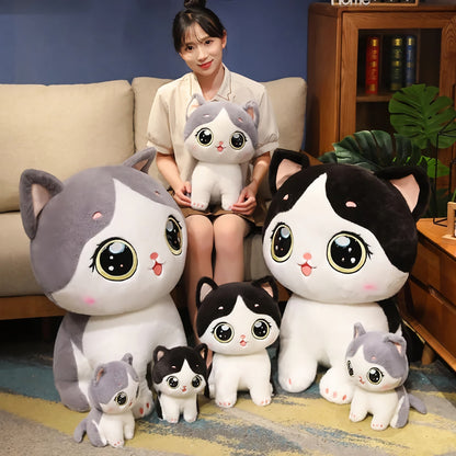 Cute kitten plush toy with large eyes