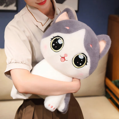 Cute kitten plush toy with large eyes